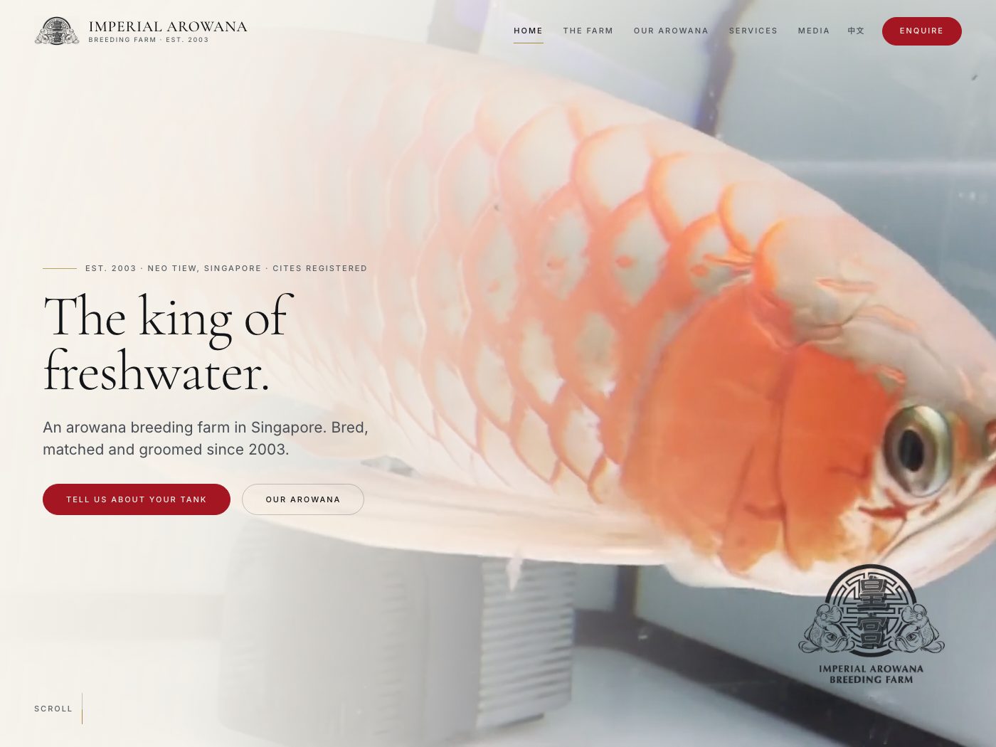 Imperial Arowana — website by touchmkt Singapore